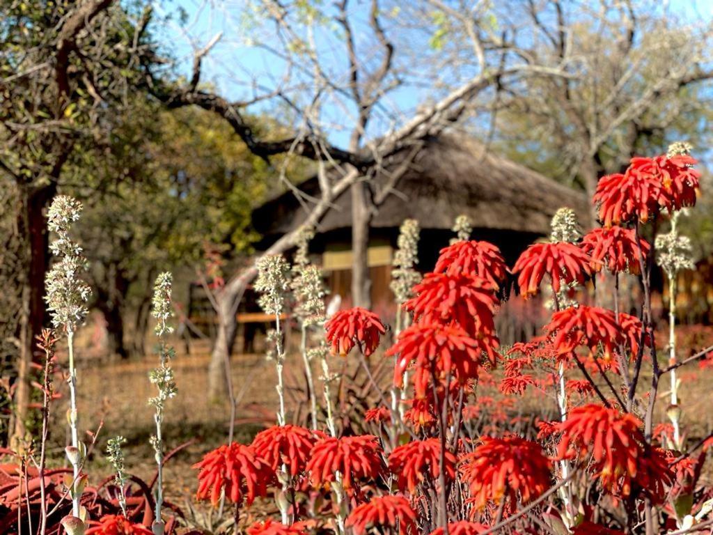 Shayamoya Tiger Fishing And Game Lodge Pongola Buitenkant foto