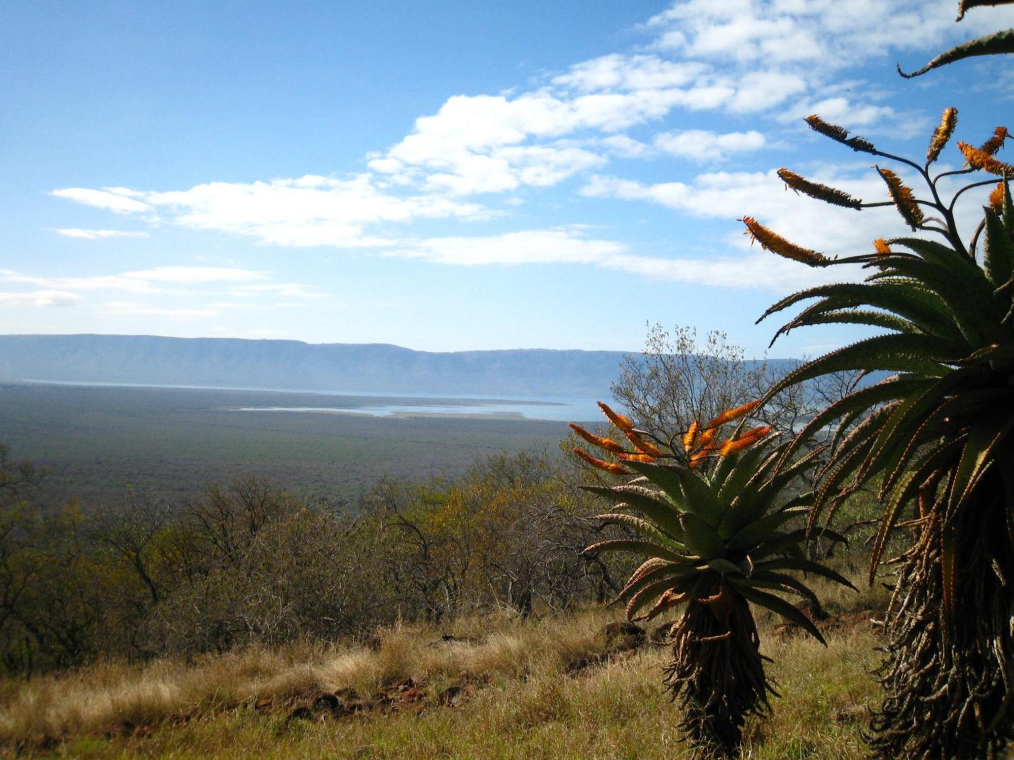 Shayamoya Tiger Fishing And Game Lodge Pongola Buitenkant foto